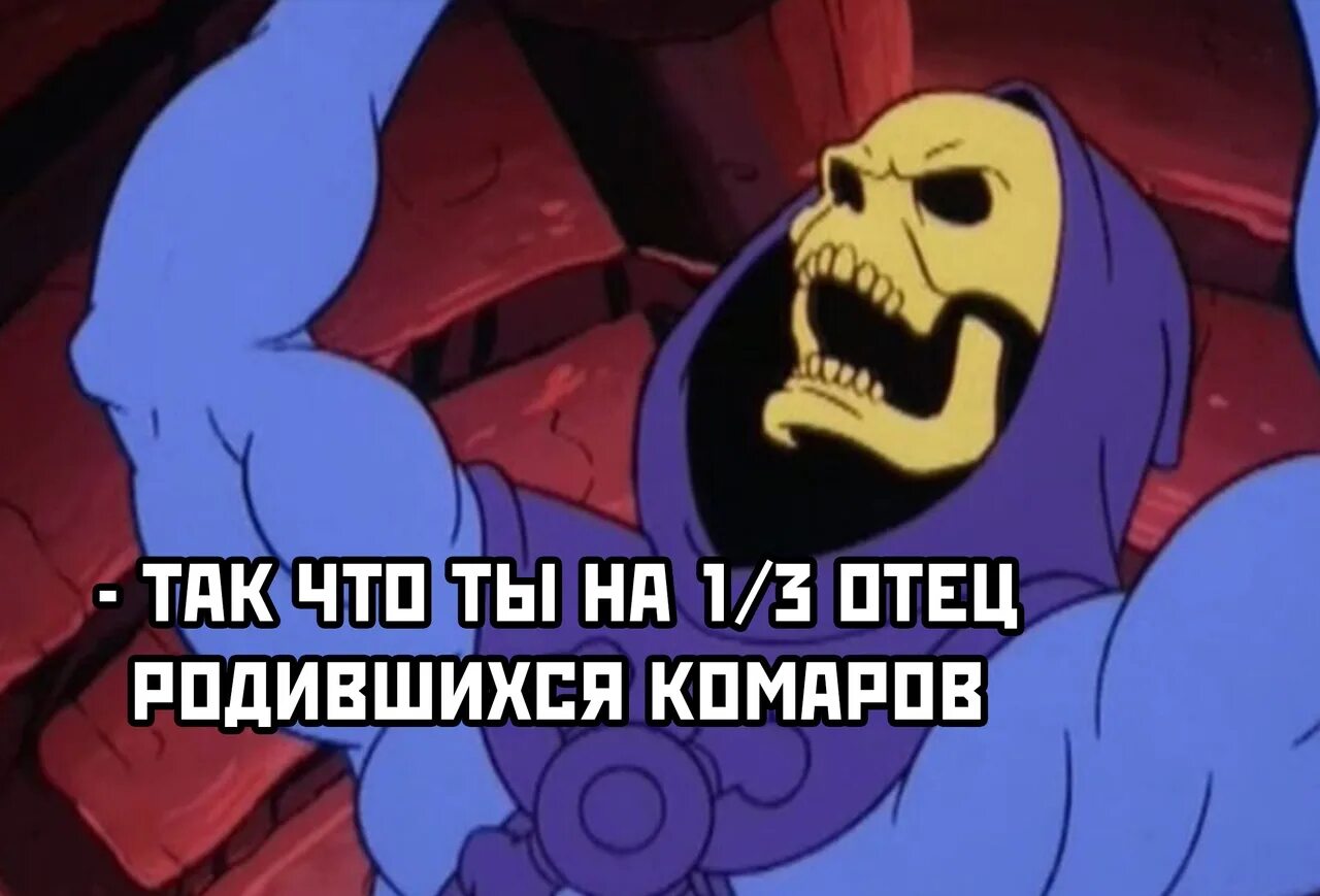 Хи мен скелетор. Вернись позже. Мем скелетор вернется позже. Скелетор еще вернется. Уже поздно возвращаться назад чтобы все правильно начать.
