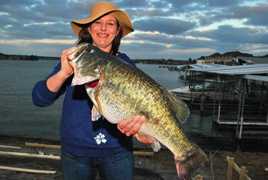Real big fishing. Рыбалка на форель. Рыбалка на амазонке. Самые большие уловы рыбы. Спортивное рыболовство.