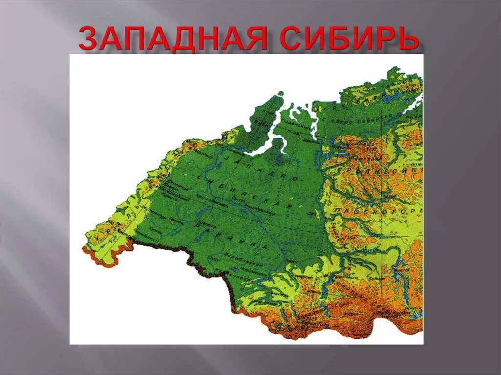 Субъекты западно сибирской равнины. Западная Сибирь. Западная Сибирь на карте. Западно Сибирская равнина. Западная Сибирна карте.