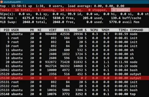 Command output