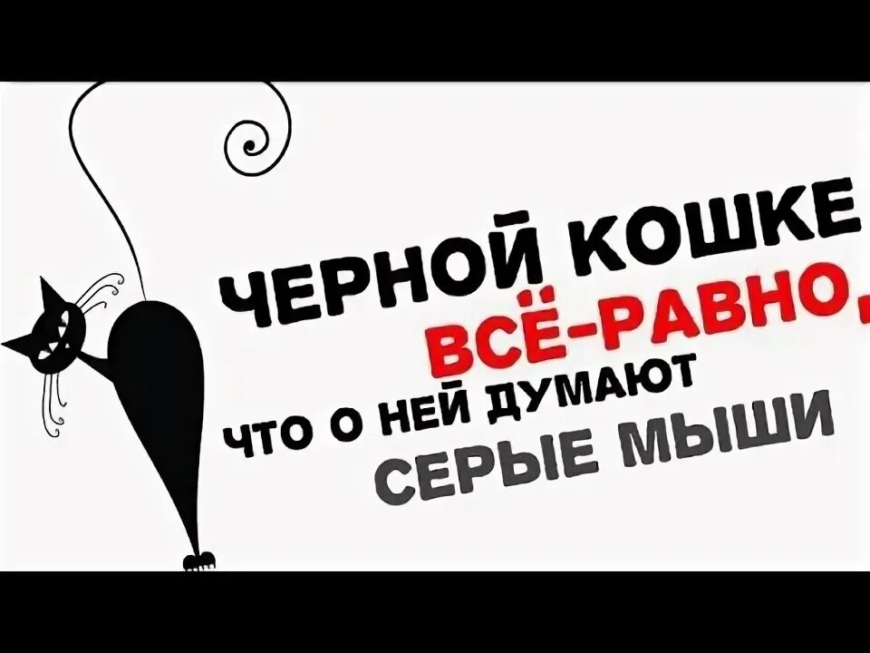Умные высказывания великих людей. Что думаешь о ней. Что думаешь о ней. Кошке все равно что о ней думают серые мыши. Высказывания о ненужных людях.