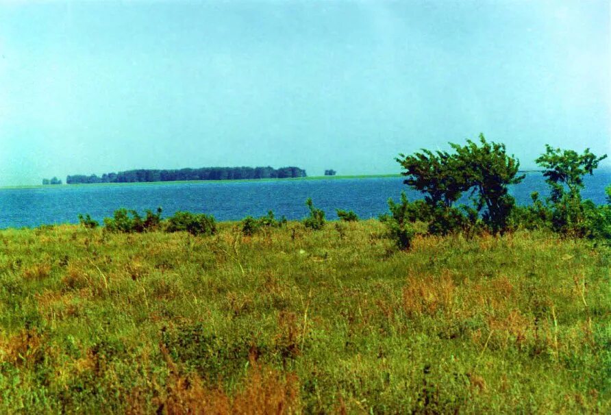 карта островов на озере чаны новосибирской области. остров медвежий озеро чаны. озеро чаны новосибирская область спутниковая. солёное бессточное озеро чаны;. озеро чаны на карте.