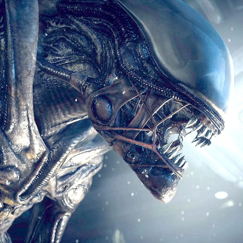 Aliens vs Predator 2010 чужой. Чужой игра 2021. Чужие реки чужие мосты