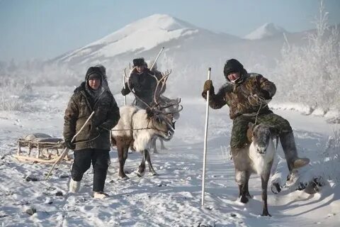 Занятия народов севера