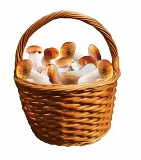 Корзина с грибами картинки для детей