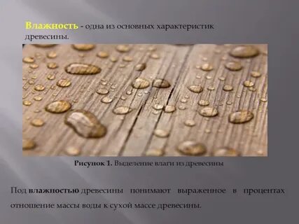 Количество влаги содержащейся в древесине
