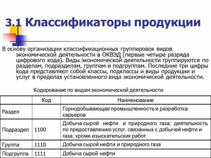 Основной классификатор видов экономической деятельности