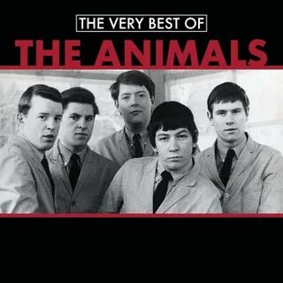 The animals is happy