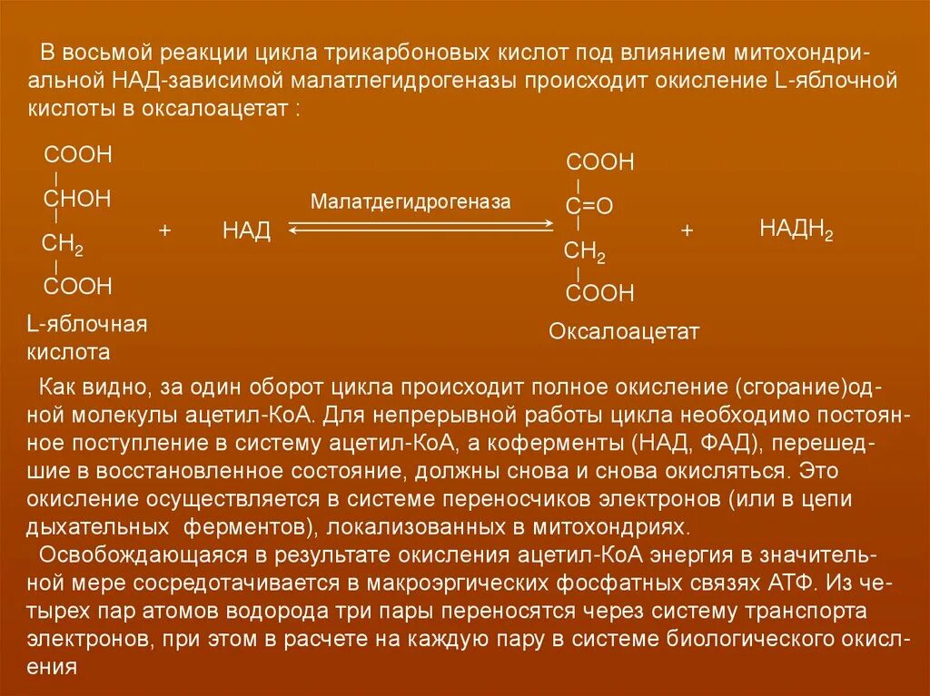 Реакции окисления протекающие в ЦТК. Реакции окисления в ЦТК. Циклы реакций окисления. Окисление ЦТК.