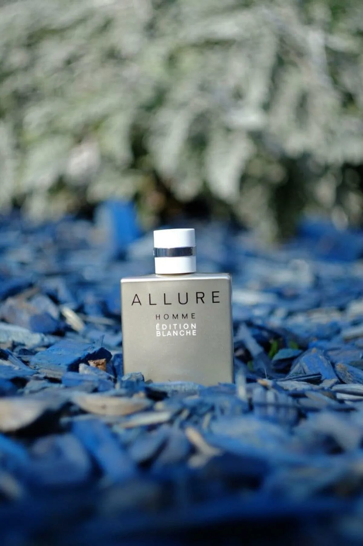 Chanel Allure homme Edition Blanche. Chanel мужские. Allure homme Edition Blanche. Парфюм Allure homme Edition Blanche Chanel. Chanel homme edition blanche