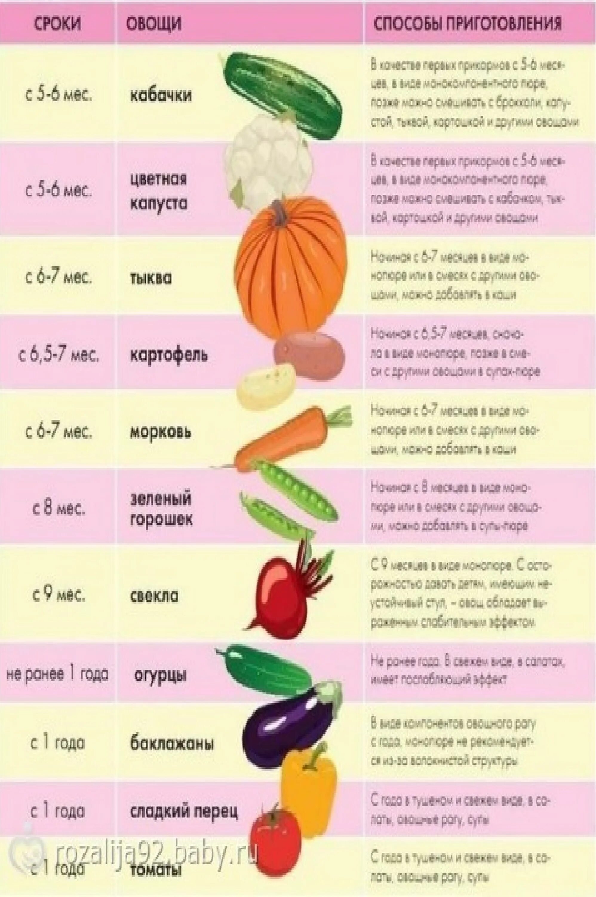 Свекла кормящей маме. Введение картофеля в прикорм грудничку. Картофель когда можно давать грудничку в прикорм. Картошка в прикорм грудничку. Введение тыквы в прикорм грудничку.