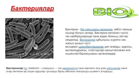 Рингтегі қыздардың порносын қараңыз