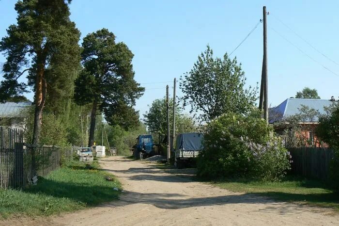Кривандино деревня. Кривандино (московская область). Андреевские выселки шатура церковь. Московская шатурский кривандино. Московская шатурский кривандино.