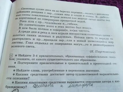 Диктант сосна