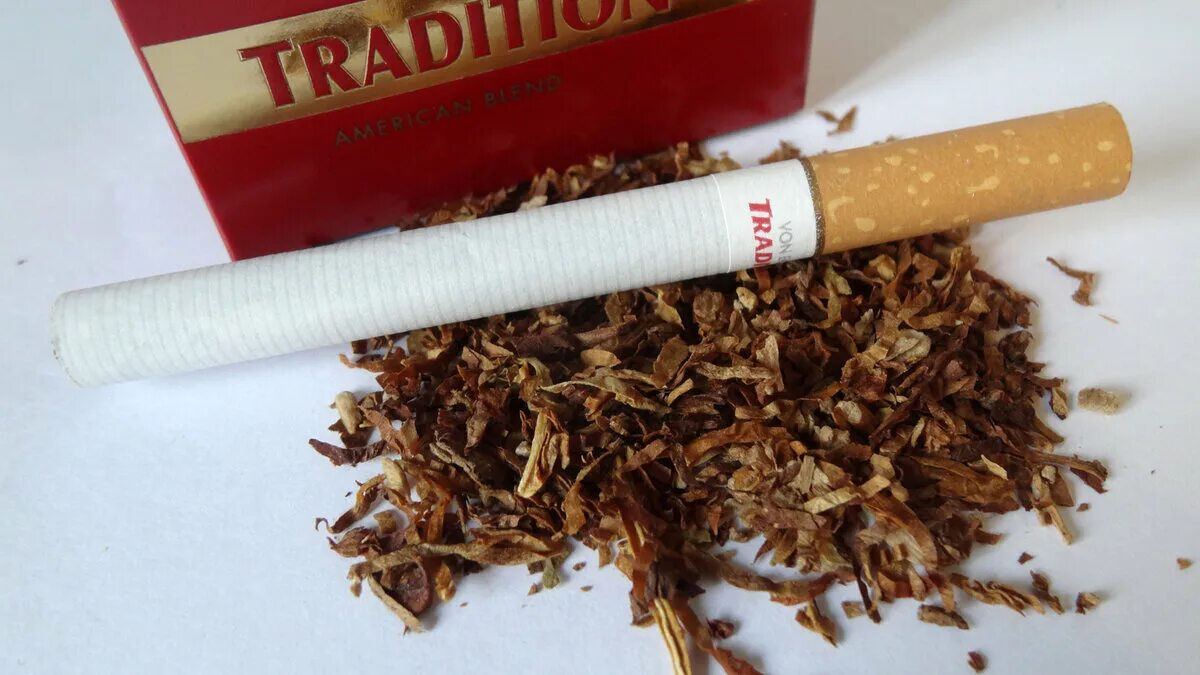 Курил турецкий табачок. Сигареты tradition Red. Табак скелетники. Сорта табака для сигарет. Семена в сигарет.