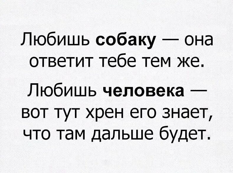 Хрен его знает картинки. Юмор а хрен его знает. Хрен его знает Мем. Хрен тебе. Что ответить на чем я тебе понравился