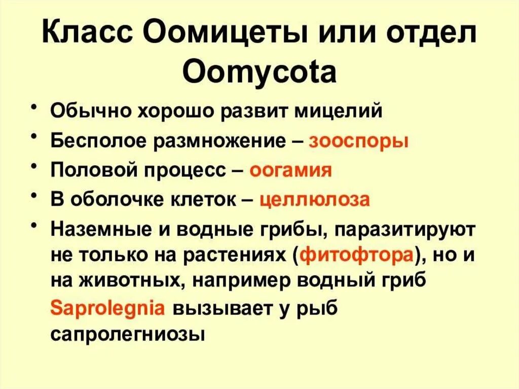 Грибы 7 класс биология кратко. Характеристика отдела грибов Оомикота. Класс оомицеты представители. Оомикота грибы 7 класс. Отдел грибов Оомикота представители.