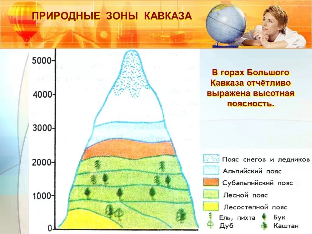 Горные зоны это. Горные зоны это. Природные зоны южной сибири. Горные зоны это. Зона высокой поясности.