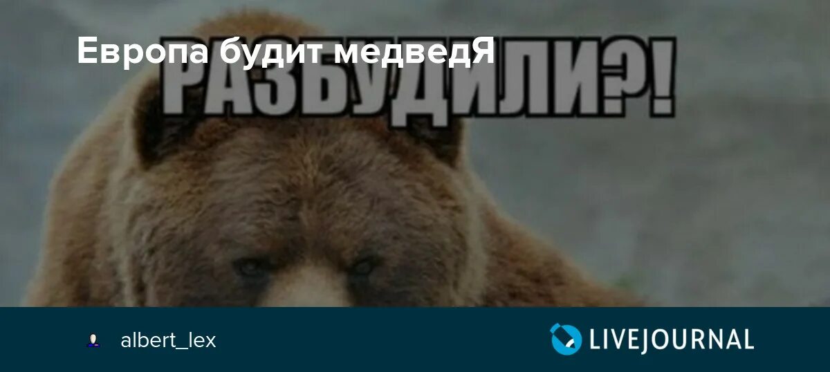 Не будите русского медведя стих текст полностью. Разбудили медведя. Разбудили русского медведя теперь молитесь. Разбудили медведя теперь.