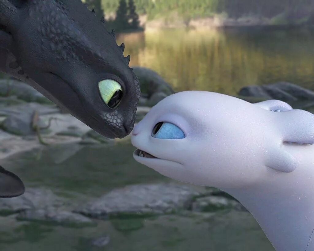 HTTYD дневная фурия. Дневная фурия Дримворкс. Дракона Беззубика и дневной фурии.