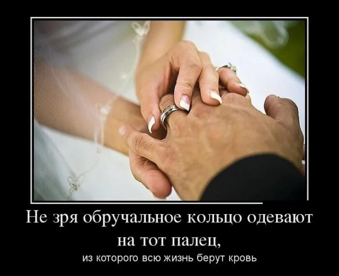 Жизнь зря