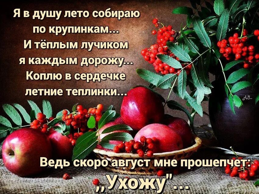 Уходящий август цитаты. Стихи про август. стихи про август красивые. август картинки со стихами красивые. статусы про август красивые.