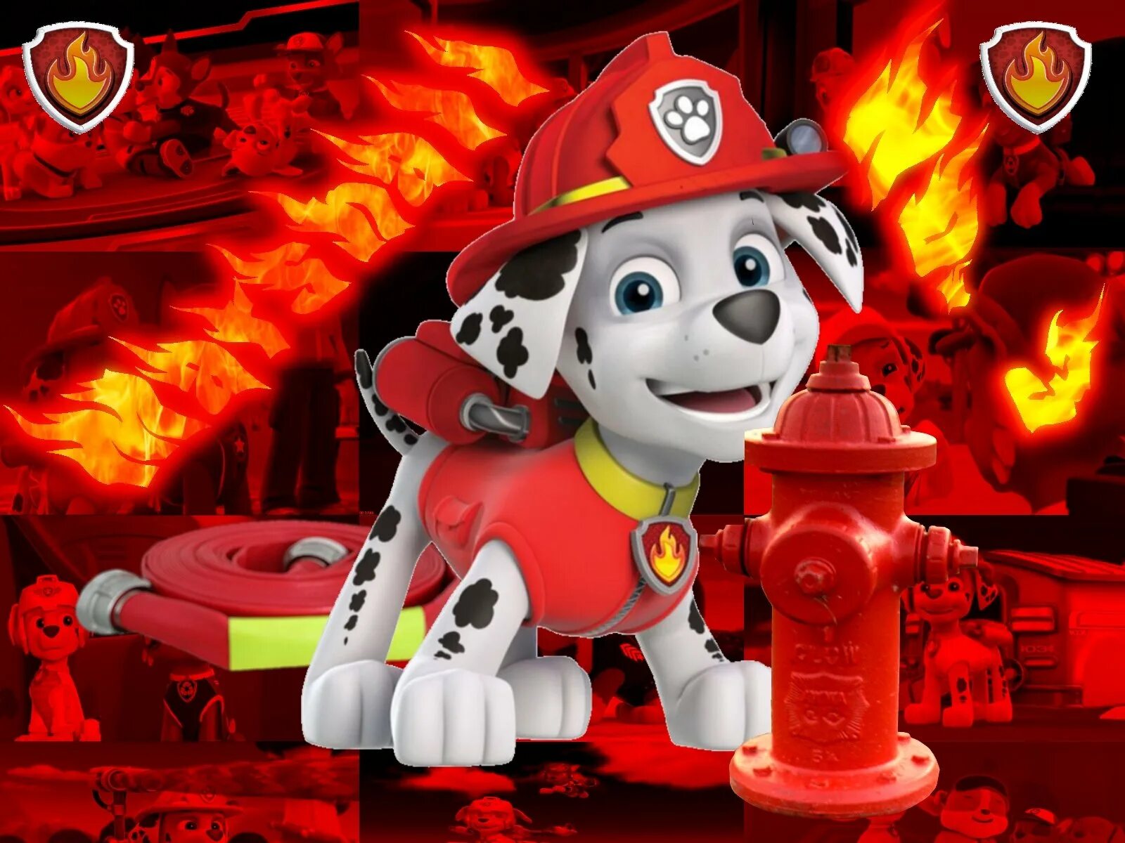 Страшилки щенячий. Paw patrol маршал. щенок маржел щенячий патруль. щенок маршал щенячий патруль. маршал крепыш гонщик рокки зума скай щенячий патруль.