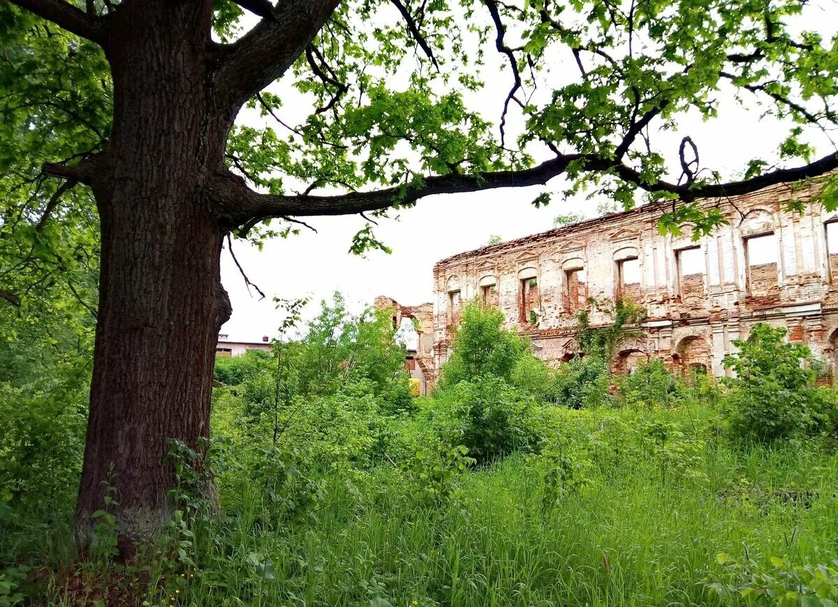 Перемышль козельск. Усадьба оболенских козельский. козельск березичи усадьба оболенского. усадьба росва. усадьба оболенских калужская область.