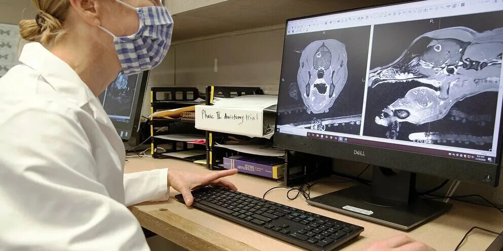 Оскар моргенштерн теория. Игра в исследованиях ученых. Исследование ученых о видеоиграх. Исследования геймеров. Исследование компьютерных игр.