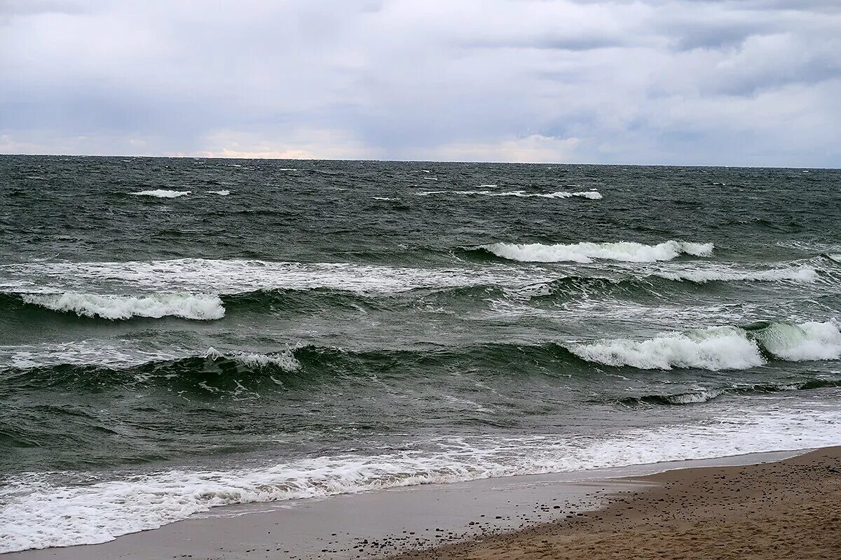 Богатство балтийского моря. Берег Балтики. Балтийское море. Балтийское море пасмурно.