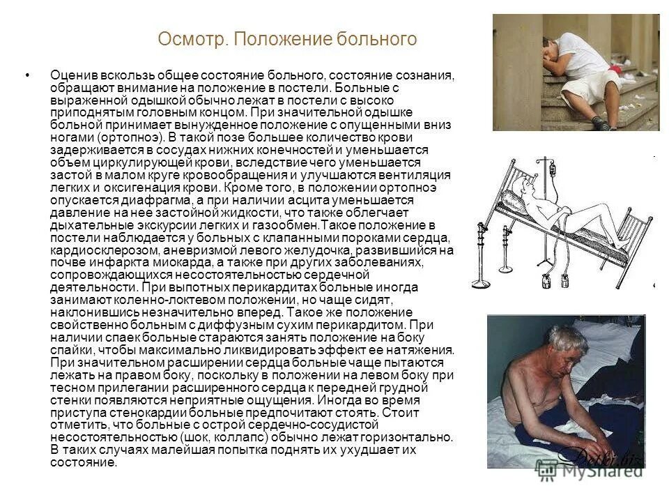 Кушетку после осмотра больного обрабатывают. Кушетку после осмотра больного обрабатывают