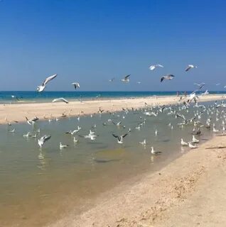 Выходные на азовском море