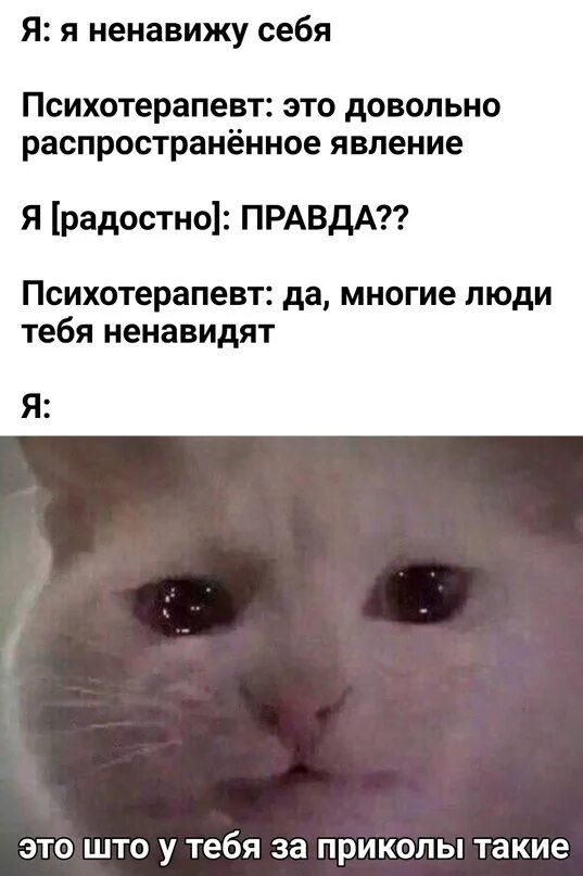 Алиса перестаньте. Мем алиса прекрати. алиса прекрати. алиса как перестать смеяться. так алиса прекращай шутки.