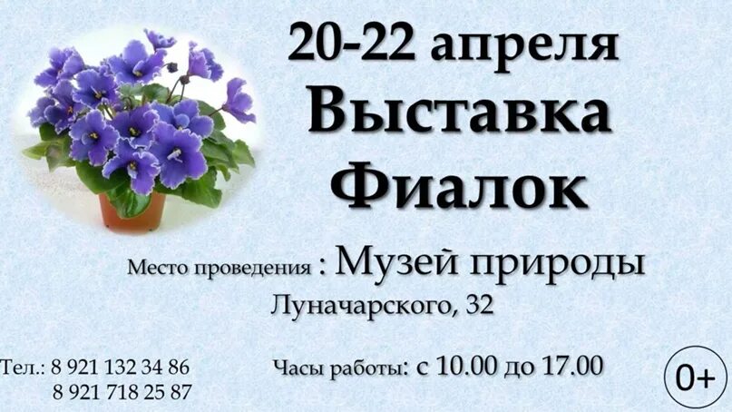 Выставка фиалок в марте 2024. Выставка фиалок. Выставка фиалок Лесколово. Самарский дом фиалки выставка. Выставка фиалок в Волгограде.