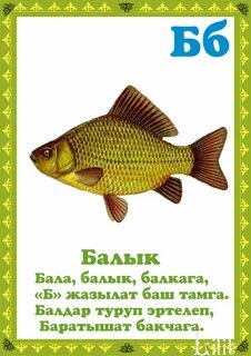 Түшендә бар тамгасы маңгаенда бер