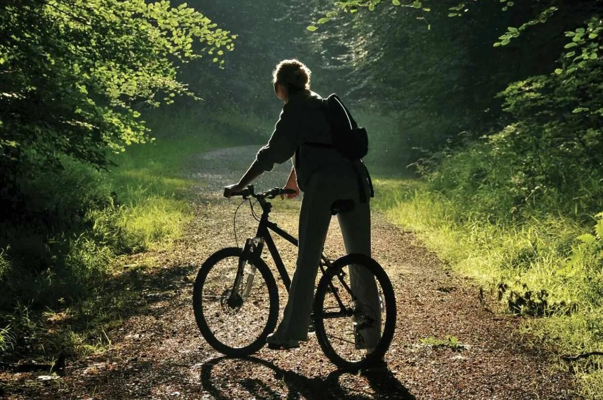 Лес велосипедист. Велосипед в лесу. На велосипеде по лесу. Человек на велосипеде в лесу. Лето велосипед.