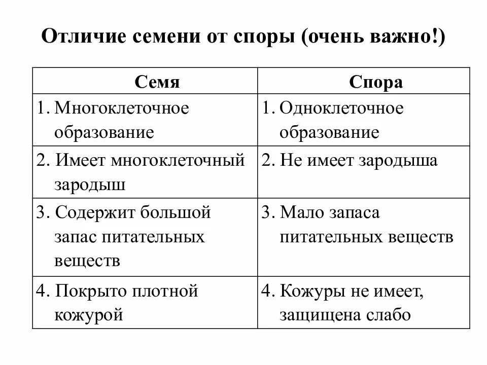 Каковы признаки голосеменных. Семя сосны и спора папоротника отличия. Сравнение споры и семени. Семя и спора отличия. Сравнение споры и семени таблица.