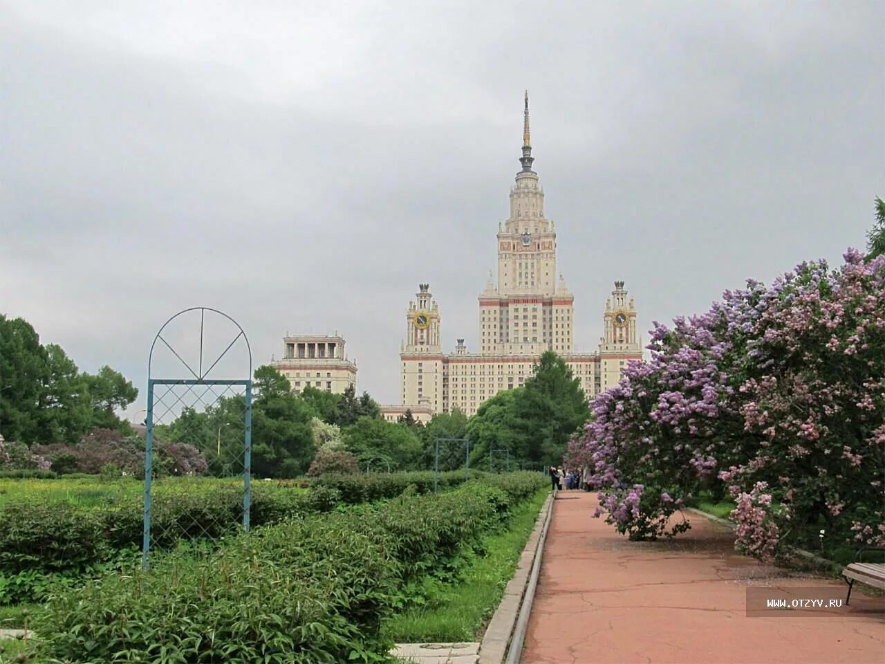 Ботанический сад мгу москва отзывы. Сад МГУ на Воробьевых горах. Сирень ботсад МГУ. Ботанический сад Воробьевы горы. Оранжерея МГУ на Воробьевых горах.