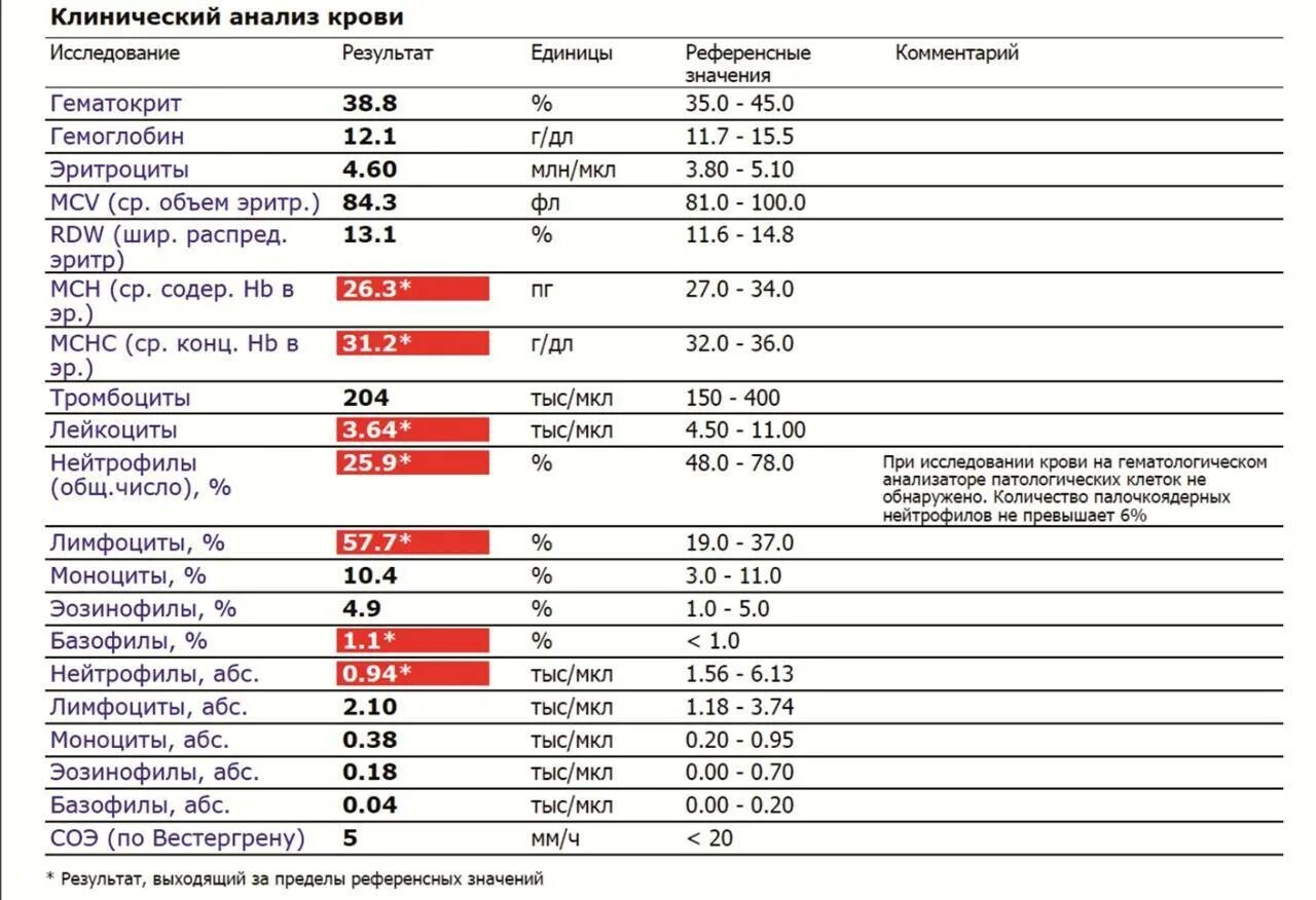 Низкий соэ у мужчин. Нормы показателей крови у мужчин общий анализ крови. Таблица показателей лейкоцитов в анализе крови. Нормальные показатели общего анализа крови лейкоциты. Клинический анализ крови расшифровка у женщин норма.