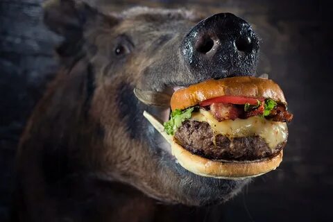Jason Connel Commercial, Advertising, Food, Lifestyle, & Firearms Photographer E