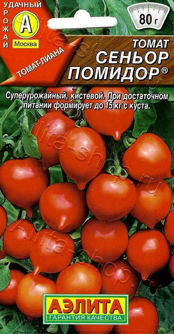 Синьор томат. Помидоры сеньор помидор отзывы. Сеньор помидор томат описание. Томат синьор помидор описание сорта. Помидоры сеньор помидор отзывы.