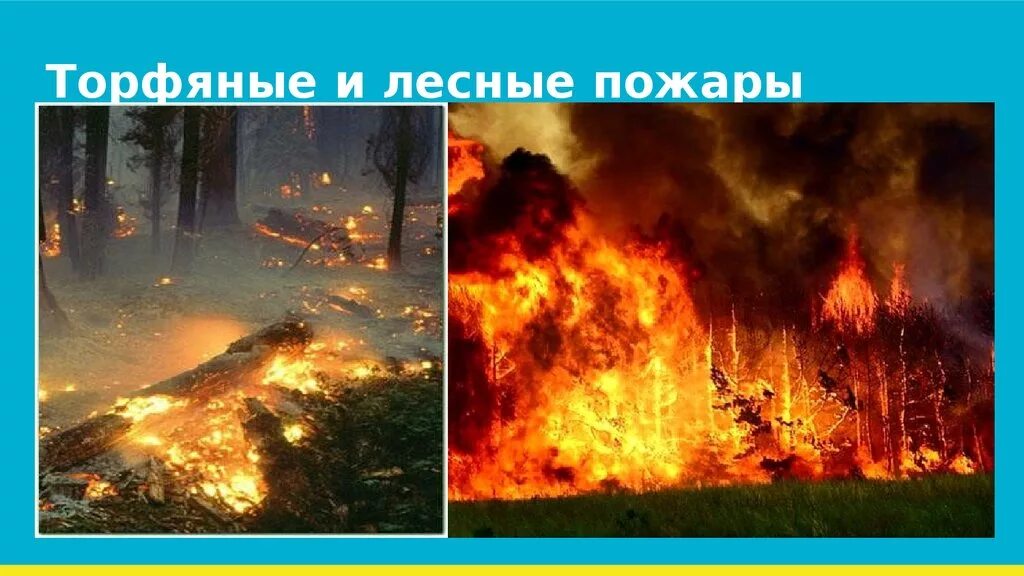 торфяные и левные пожар. лесные пожары торфяные пожары степные пожары. индонезия дым от лесных пожаров и горящих торфяников. лесные и торфяные пожары. лесные пожары торфяные пожары.