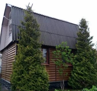 Дачи купавны