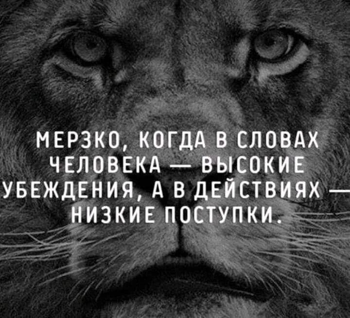 Будь сильным на между. Цитаты про подлых людей со смыслом. Высказывания о поступках. Подлые люди цитаты. Высказывания о гнилых людях.