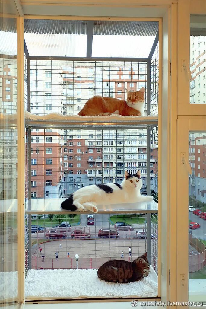 Кошки в окне купить в москве. Клетка антикошка. Клетка антикошка для кошек на окно. Кошачий балкон антикошка. Сетка клетка антикошка.