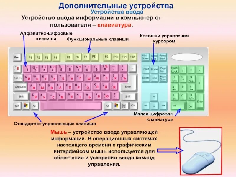 Дополнительные функции можно. Строение компьютерной клавиатуры. Устройство клавиатуры Назначение клавиш. Строение клавиш на клавиатуре. Строение кнопки клавиатуры.