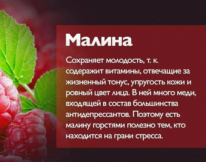 Ягодка характеристика. Малина интересные факты. Чем полезна малина. Интересные факты о Малине. Полезные ягоды для здоровья.