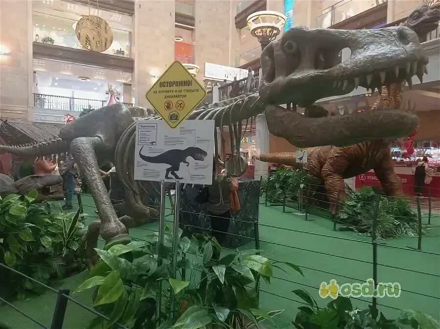 цдм динозавры на каникулах. тц золотой вавилон динозавры. выставка мир динозавров. парк динозавров в москве на лубянке. центральный детский магазин дракон.