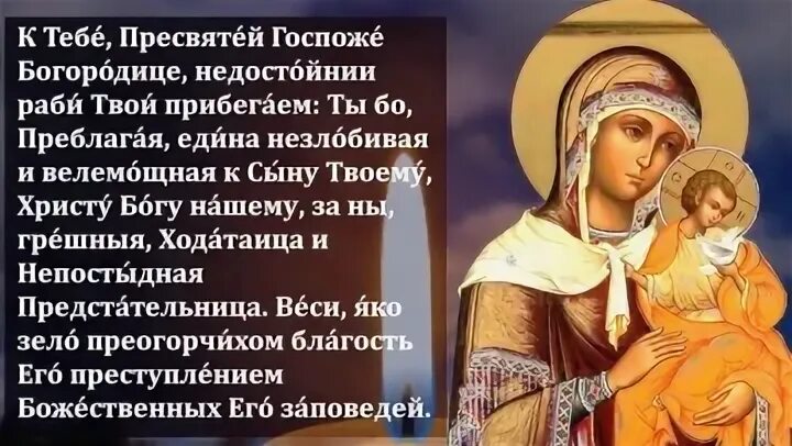 Дева божия благая богородица текст. Цареградская икона Божией матери молитва. Пресвятая Дева Матерь Божия Благая Богородица. Молитва Богородице Пресвятая Дева мати Божия Благая Богородица. Икона Пресвятой Богородицы Цареградская.