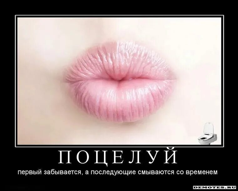 Цитаты про губы